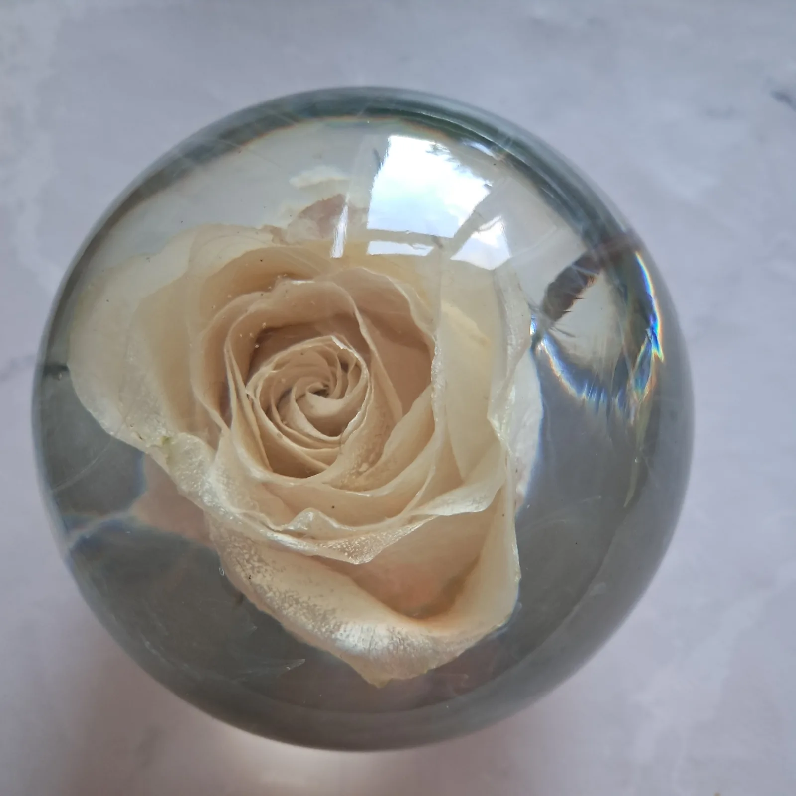 Preserved White Rose in Crystal Clear Resin Sphere