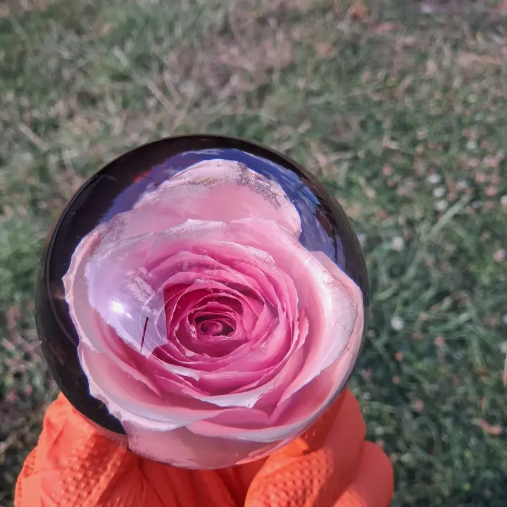 Single Rose (4/4)