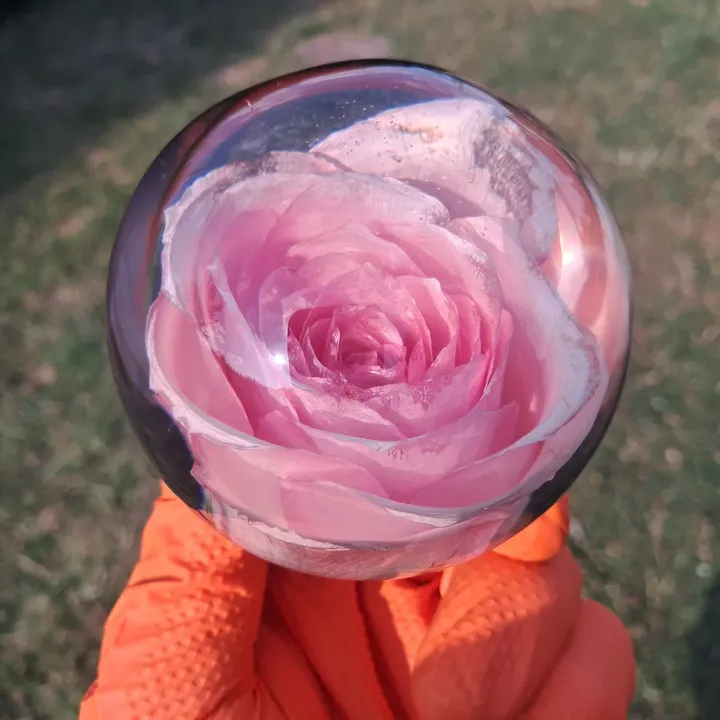 Single Rose (1/4)
