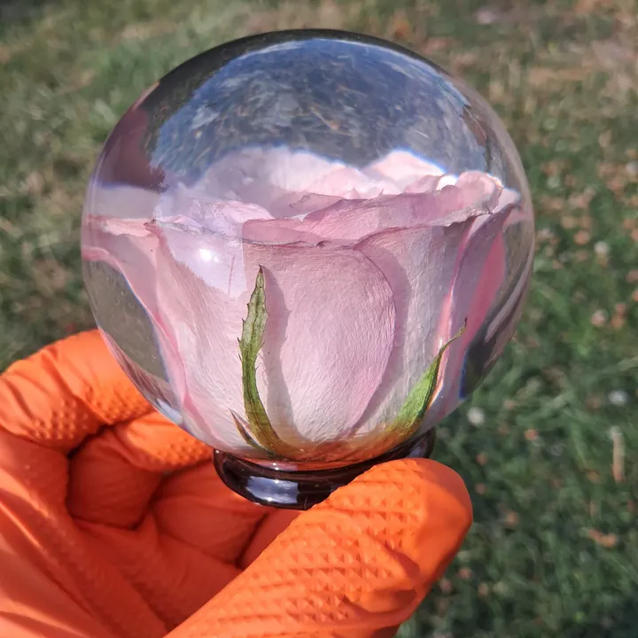 Single Rose (3/4)